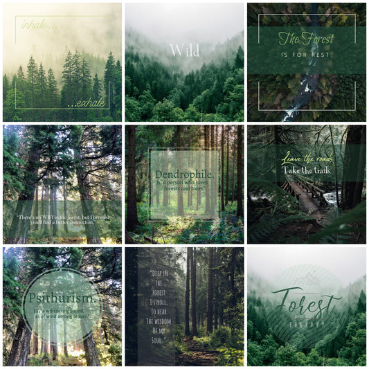 Nature Inspired - The Forest